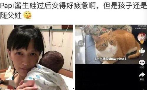 娱乐吃瓜酱带娃思想,趣味带娃新风尚 第3张 娱乐吃瓜酱带娃思想,趣味带娃新风尚 第3张