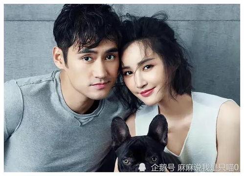 娱乐圈吃瓜明星爆料小说  第2张