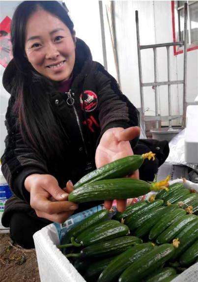 娱乐吃瓜酱重庆山东,揭秘重庆与山东的美食文化碰撞  第2张