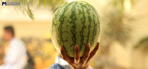 娱乐大瓜在线吃,娱乐大瓜在线吃，明星幕后故事大公开